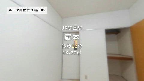 動画