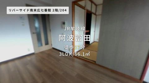 動画