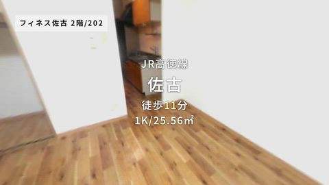 動画