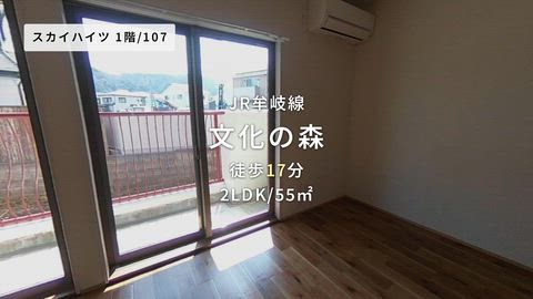 動画