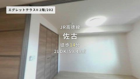 動画