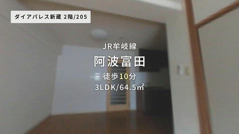 動画