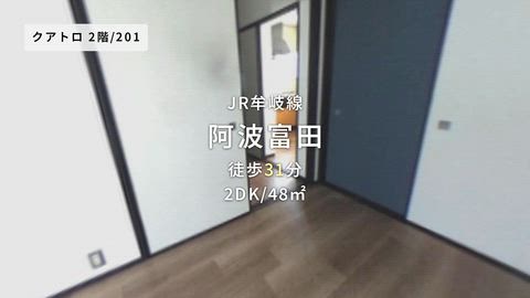 動画