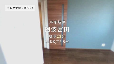 動画
