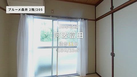 動画