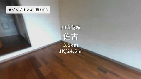 動画