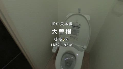 紹介ムービー