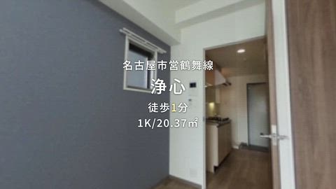動画