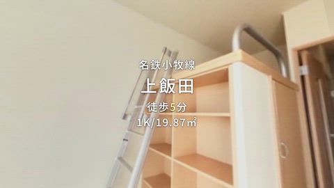 動画