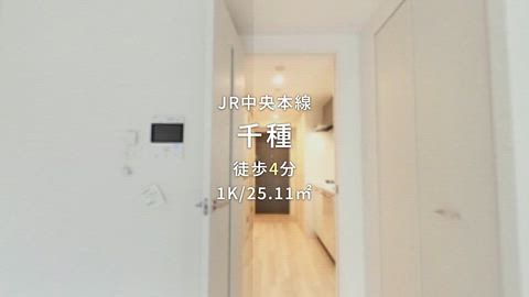 動画