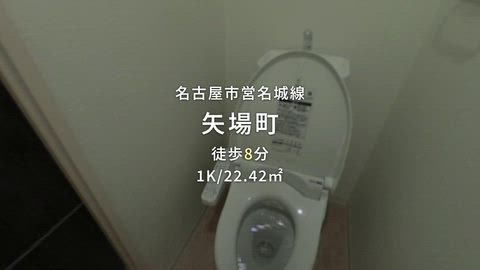 動画