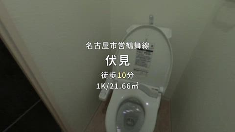 動画