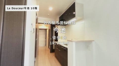 動画