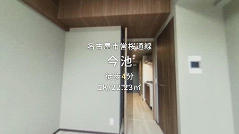 動画