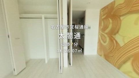 動画