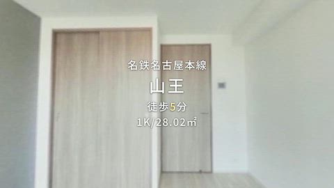 動画