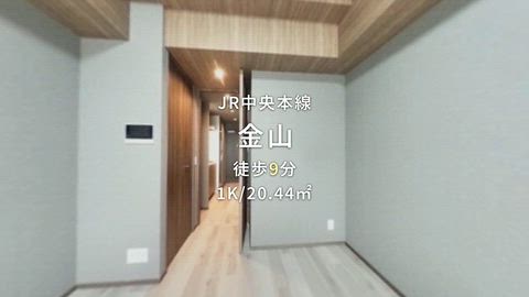 動画