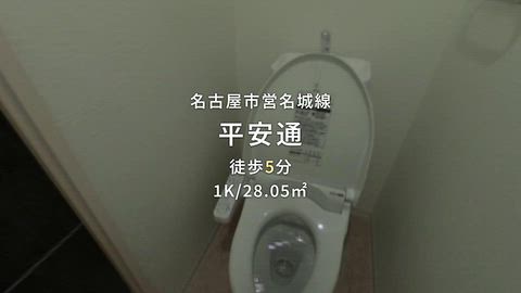 動画