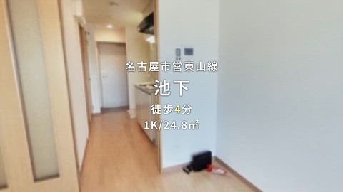 動画