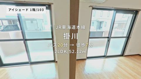 動画