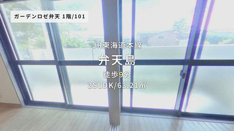 動画