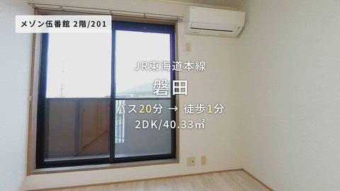 動画