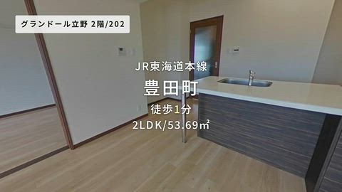 動画