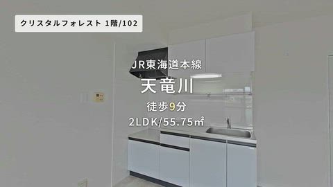 動画