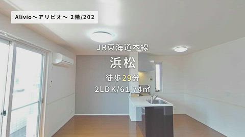 動画