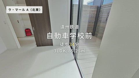 動画