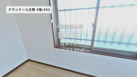 動画