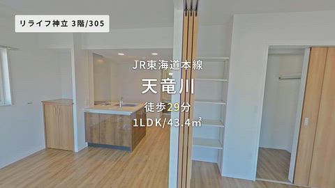 動画
