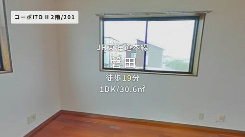 動画