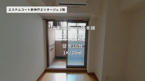 動画