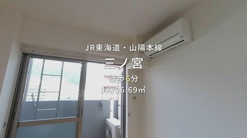 動画