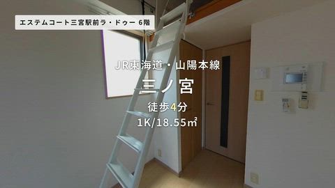 動画