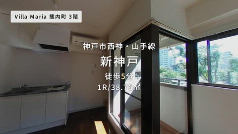 動画