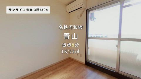 動画