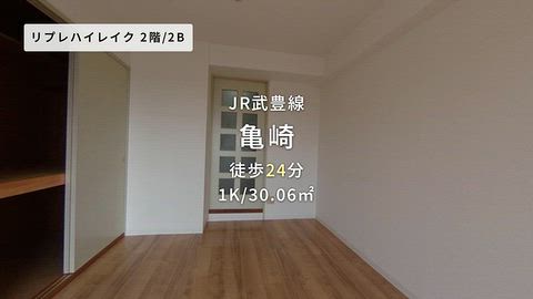 動画