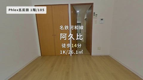 動画