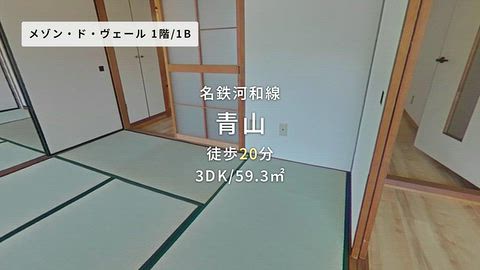 動画