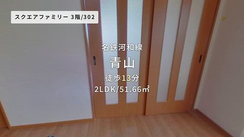 動画
