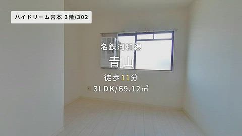 動画
