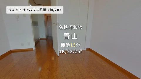 動画