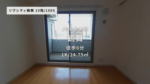 動画