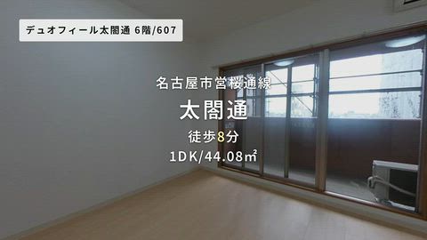 動画