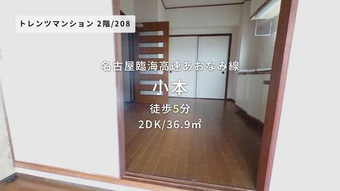 動画