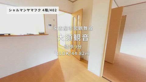 動画