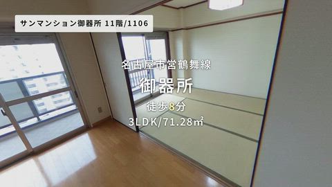 動画