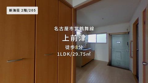 動画